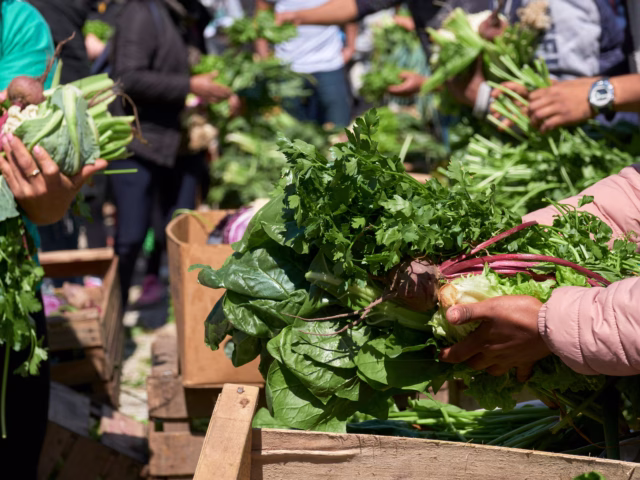 🌱 Sustainable Gut Health: Build Habits You Can Stick To All Year