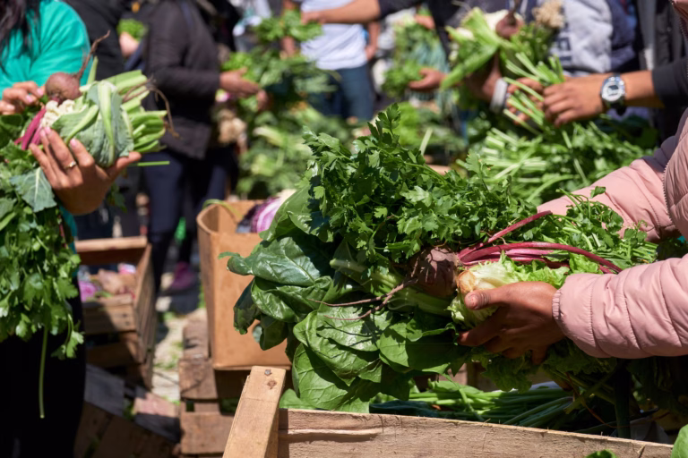 sustainable gut health