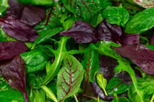 anti-inflammatory foods