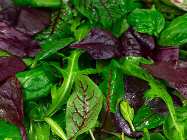 🥗 Anti-Inflammatory Foods That Support Heart & Digestive Comfort