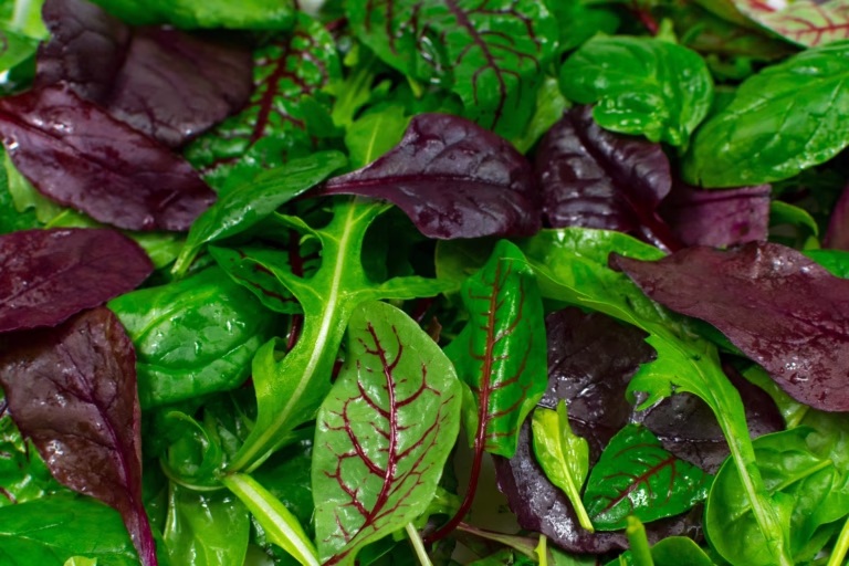anti-inflammatory foods